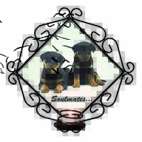 Rottweiler Puppy Dogs 