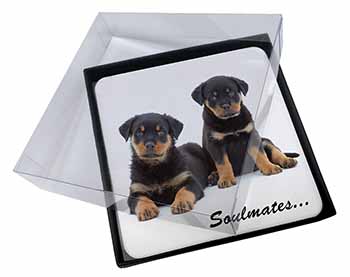 4x Rottweiler Puppy Dogs 