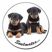 Rottweiler Puppy Dogs 