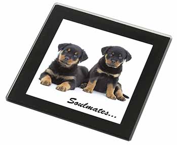 Rottweiler Puppy Dogs 