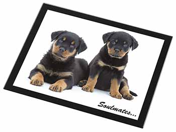 Rottweiler Puppy Dogs 