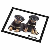 Rottweiler Puppy Dogs 