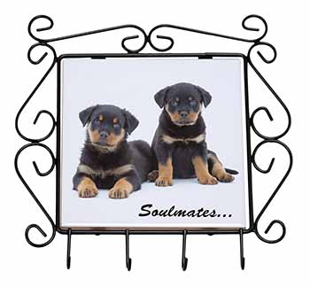 Rottweiler Puppy Dogs 