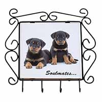 Rottweiler Puppy Dogs 