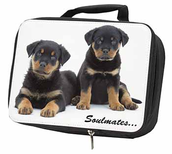 Rottweiler Puppy Dogs 