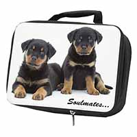 Rottweiler Puppy Dogs 