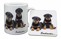 Rottweiler Puppy Dogs 