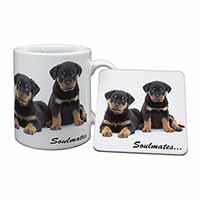 Rottweiler Puppy Dogs 