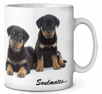 Rottweiler Puppy Dogs 