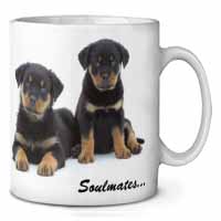 Rottweiler Puppy Dogs 