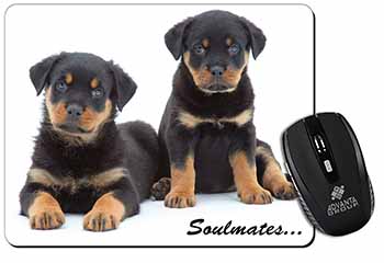 Rottweiler Puppy Dogs 