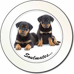 Rottweiler Puppy Dogs 