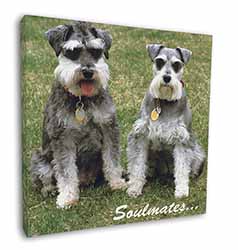 Schnauzer Dogs 