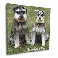 Schnauzer Dogs 