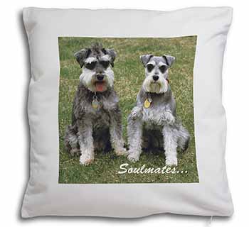 Schnauzer Dogs 