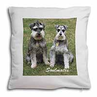 Schnauzer Dogs 