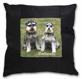 Schnauzer Dogs 