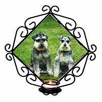 Schnauzer Dogs 