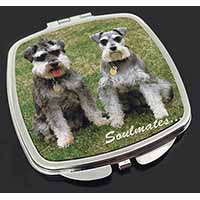 Schnauzer Dogs 