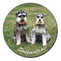 Schnauzer Dogs 