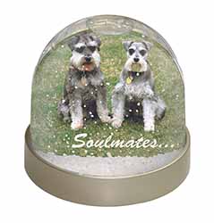 Schnauzer Dogs 