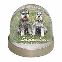 Schnauzer Dogs 