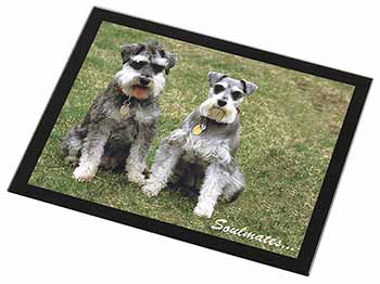 Schnauzer Dogs 