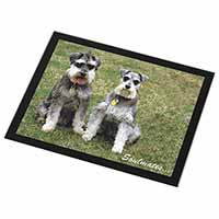 Schnauzer Dogs 