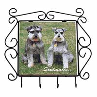 Schnauzer Dogs 