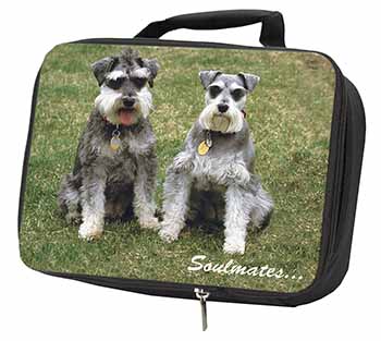 Schnauzer Dogs 