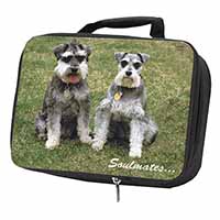 Schnauzer Dogs 