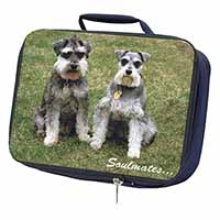 Schnauzer Dogs 