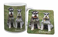 Schnauzer Dogs 