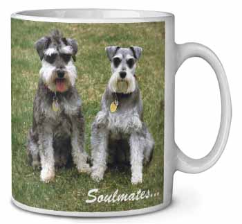 Schnauzer Dogs 