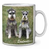 Schnauzer Dogs 