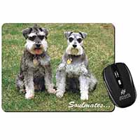 Schnauzer Dogs 