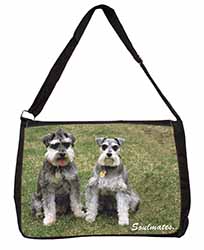 Schnauzer Dogs 