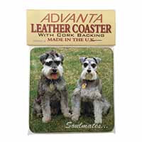 Schnauzer Dogs 