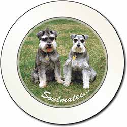 Schnauzer Dogs 