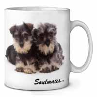 Schnauzer Puppy Dogs 