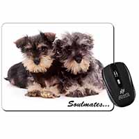 Schnauzer Puppy Dogs 