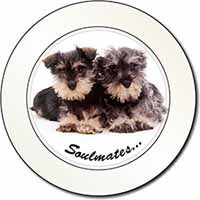 Schnauzer Puppy Dogs 