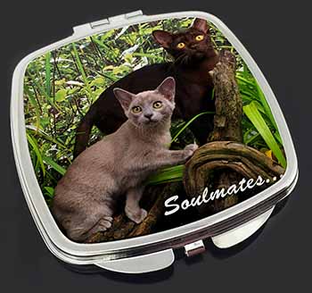 Burmese Cats 