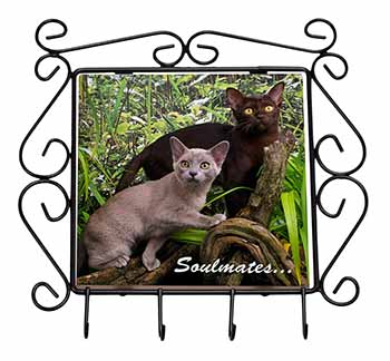 Burmese Cats 