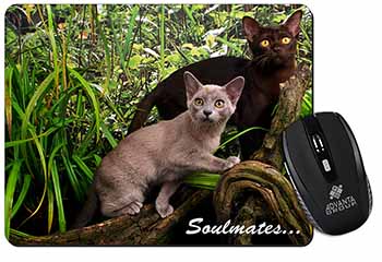 Burmese Cats 