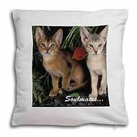 Abyssinian Kittens 