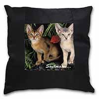 Abyssinian Kittens 