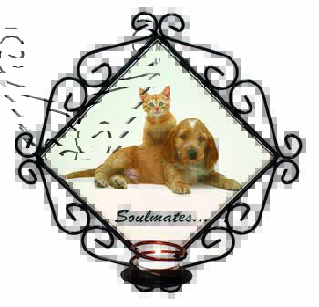 Spaniel and Kitten 