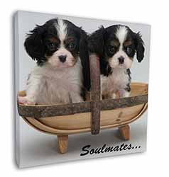 King Charles Puppies 