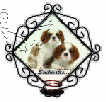King Charles Pups 